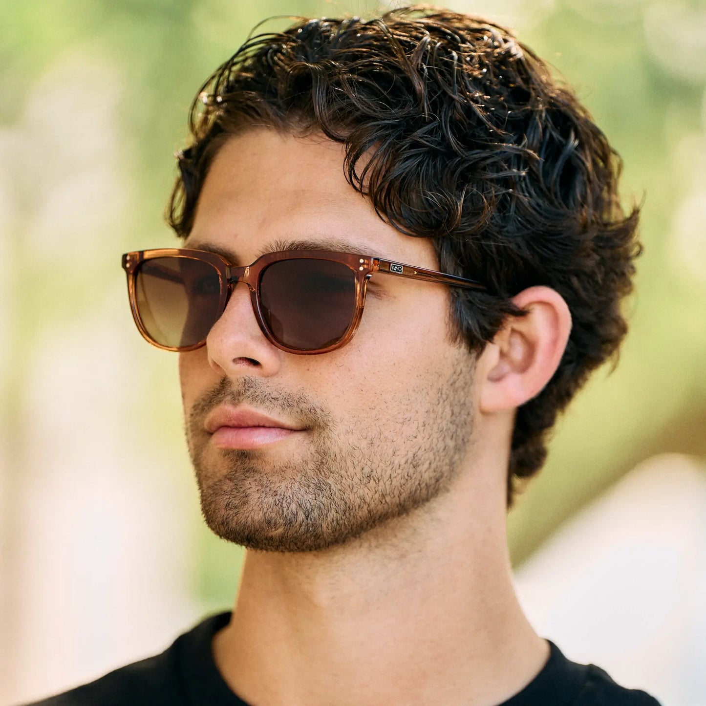 Abner | Polarized